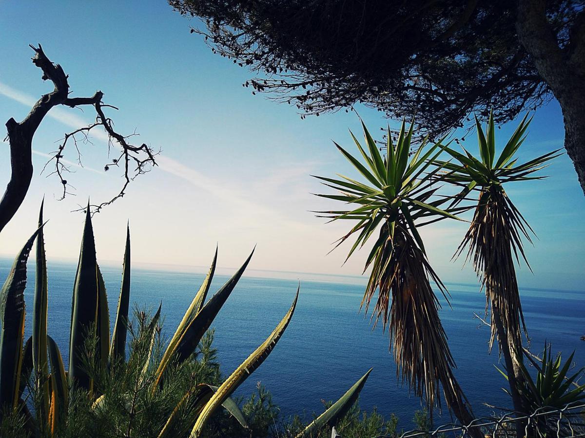Calanque de Figuières, plage à 100 m, paddle, canoë, parking, WIFI, Ensues-la-Redonne Extérieur photo